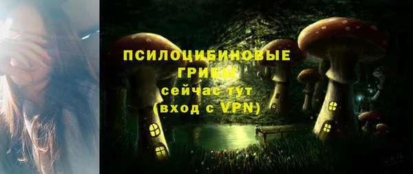 гидропоника Богородск