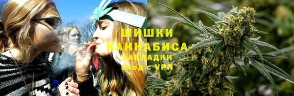 метадон Богданович