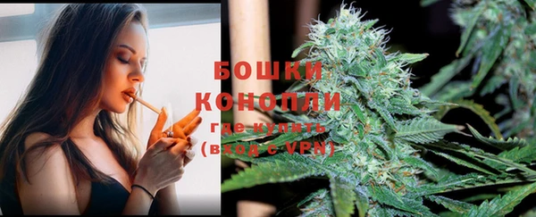 гидропоника Богородск