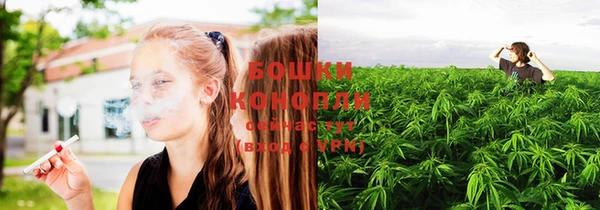 метадон Богданович