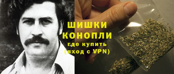 метадон Богданович
