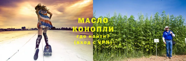 метадон Богданович
